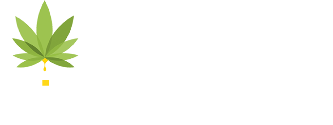 WowSoon Logo
